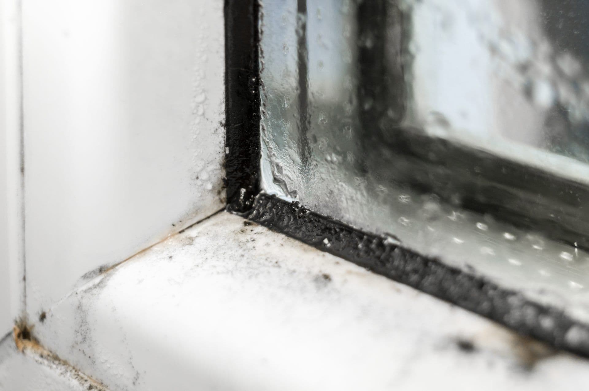 window-condensation-hartford-city-scaled.