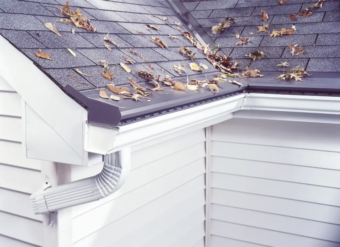 gutter-protection-services-richmond-in (1).webp