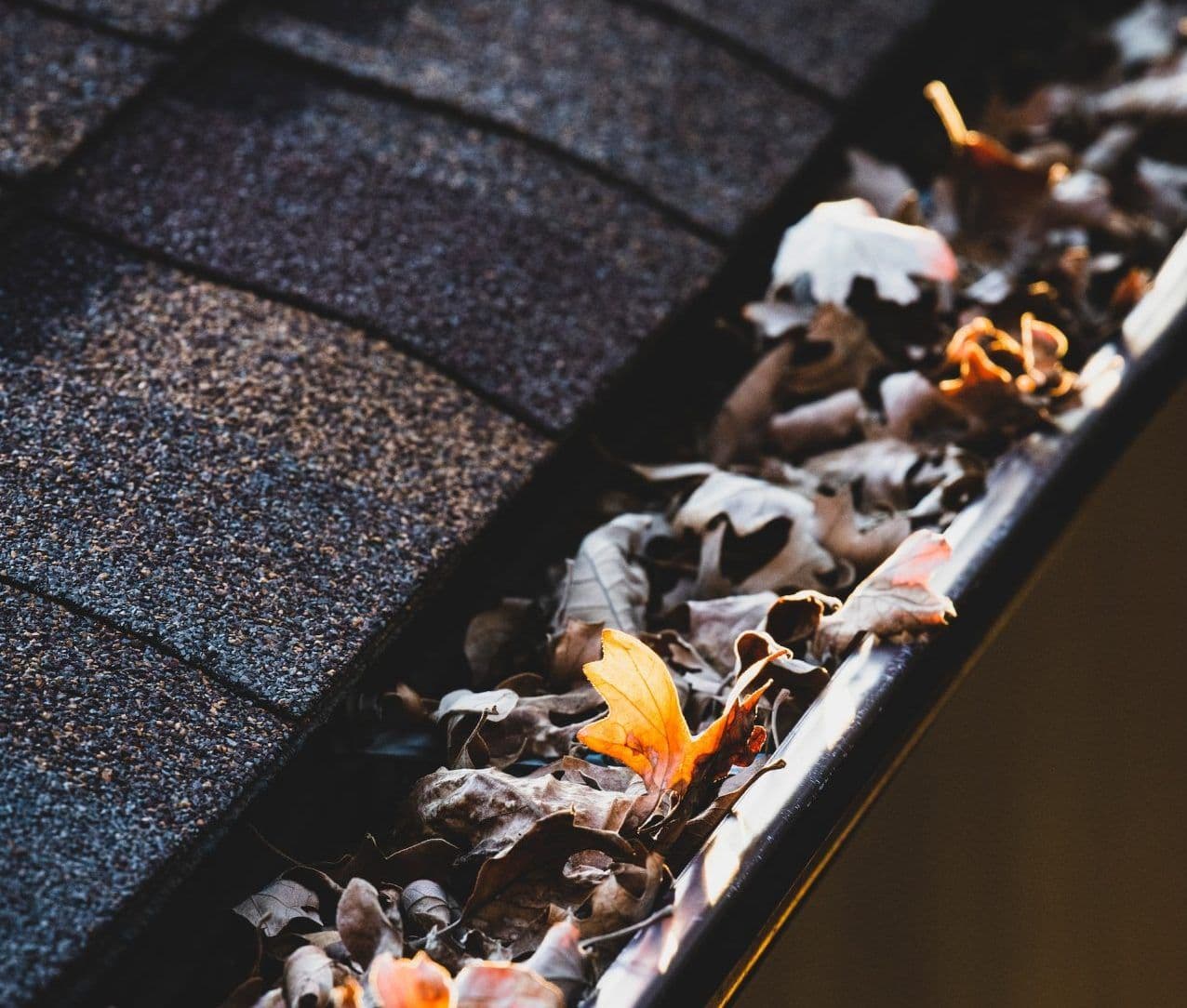 leaf-filled-gutter-Clemens-Home-Solutions-Greenfield-IN-scaled